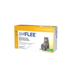 Amflee 50 Mg