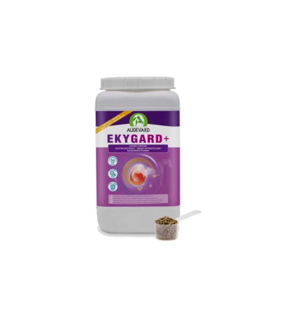 Audevard Ekygard + 4 Audevard Ekygard + - Afbeelding 2