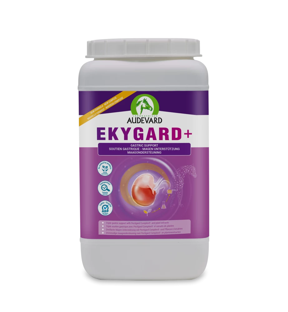 Audevard Ekygard + 3 Audevard Ekygard +