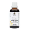 De Groene Os Solidago Complex Hond & Kat - 50 Ml 2 De Groene Os Solidago Complex Hond & Kat - 50 Ml -Dierenbenodigdheden Korting de groene os solidago complex hond kat 50 ml
