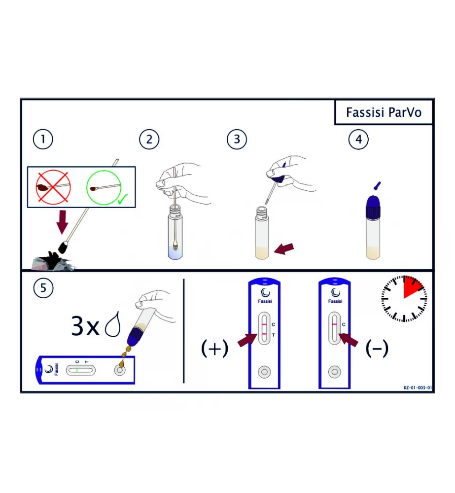 Fassisi ParVo Zelftest Hond & Kat (Ontlasting) 4 Fassisi ParVo Zelftest Hond & Kat (Ontlasting) - Afbeelding 2