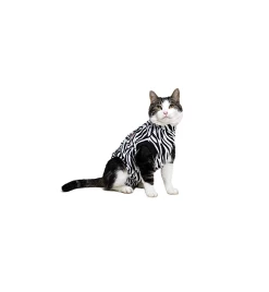 Medical Pet Shirt (Kat / Zebraprint)