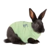Medical Pet Shirt (Konijn) 1 Medical Pet Shirt (Konijn) -Dierenbenodigdheden Korting medical pet shirt konijn groen