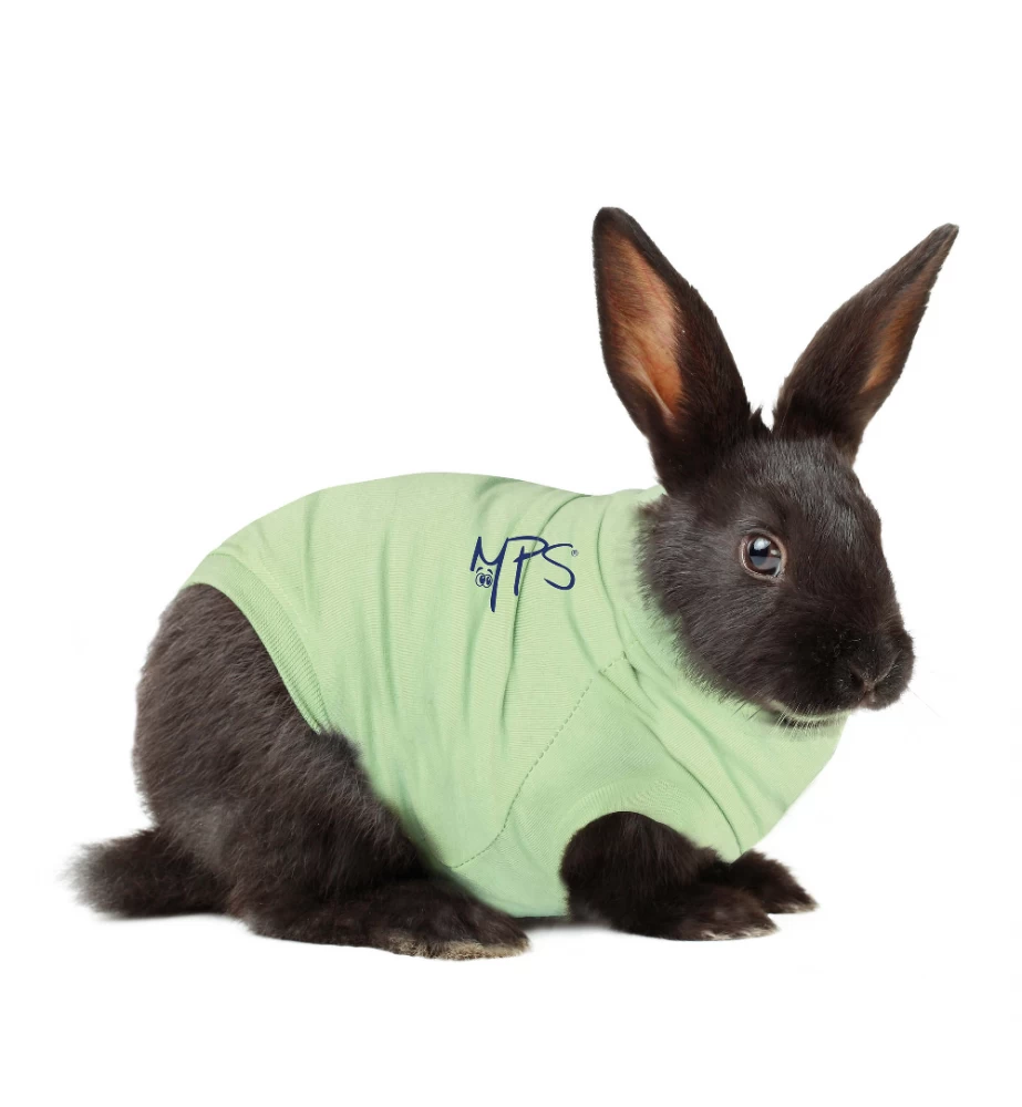 Medical Pet Shirt (Konijn) 3 Medical Pet Shirt (Konijn)