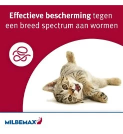 Milbemax Kleine Kat / Kitten 8 Milbemax Kleine Kat / Kitten -Dierenbenodigdheden Korting milbemax kleine kat kitten 1