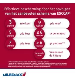 Milbemax Kleine Kat / Kitten 9 Milbemax Kleine Kat / Kitten -Dierenbenodigdheden Korting milbemax kleine kat kitten 2