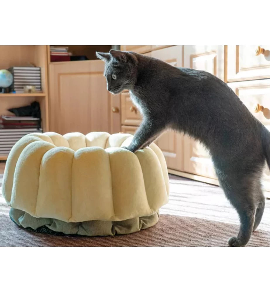 Petlando Ligmand Kat Vienna 5 Petlando Ligmand Kat Vienna - Afbeelding 3