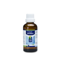 PUUR Spondy - 50 Ml