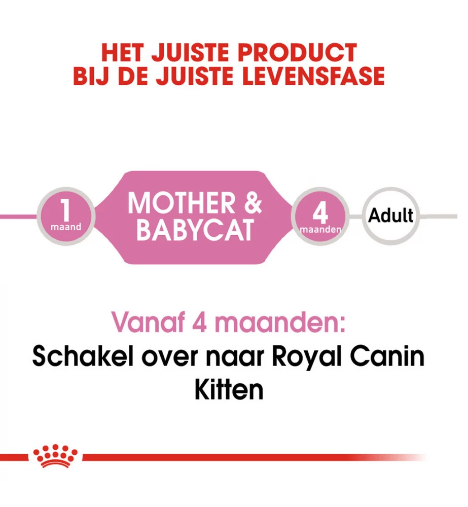 Royal Canin Mother & Babycat Mousse - 12 X 195 Gram 7 Royal Canin Mother & Babycat Mousse - 12 X 195 Gram - Afbeelding 5