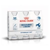 Royal Canin Recovery Liquid - 3 X 200 Ml 2 Royal Canin Recovery Liquid - 3 X 200 Ml -Dierenbenodigdheden Korting royal canin recovery liquid 3 x 200 ml