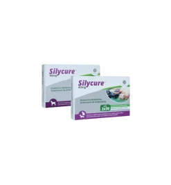 Silycure 40 Mg - 60 Tabletten -Dierenbenodigdheden Korting silycure 40 mg 60 tabletten 2