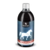 Synovium Hippochol - 1 Liter 2 Synovium Hippochol - 1 Liter -Dierenbenodigdheden Korting synovium hippochol 1 liter