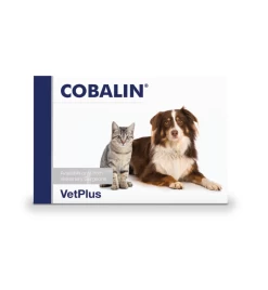 VetPlus Cobalin - 60 Capsules -Dierenbenodigdheden Korting vetplus cobalin 60 capsules 2