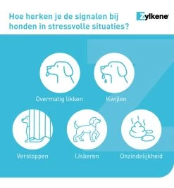 Vetoquinol Zylkène 75 Mg Capsules (- 10 Kg) 13 Vetoquinol Zylkène 75 Mg Capsules (- 10 Kg) -Dierenbenodigdheden Korting zylkene 75 mg capsules 3