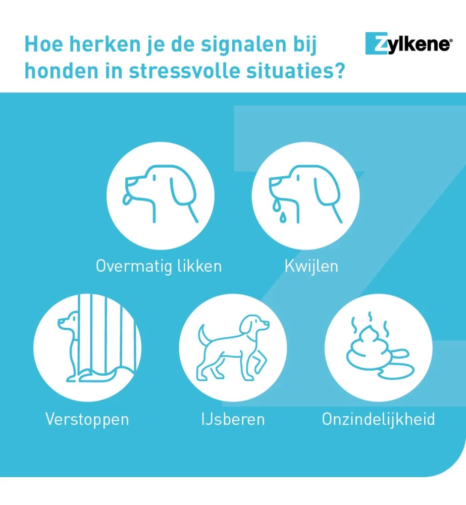 Vetoquinol Zylkène 75 Mg Capsules (- 10 Kg) 6 Vetoquinol Zylkène 75 Mg Capsules (- 10 Kg) - Afbeelding 4