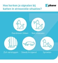 Vetoquinol Zylkène 75 Mg Capsules (- 10 Kg) 14 Vetoquinol Zylkène 75 Mg Capsules (- 10 Kg) -Dierenbenodigdheden Korting zylkene 75 mg capsules 4